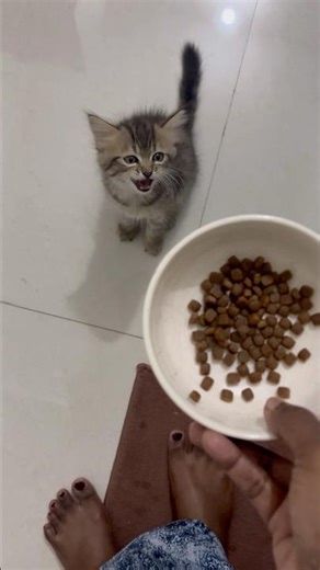 Shadow baby…❤️ #cute