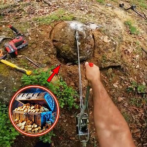 35K views · 317 reactions | I found very valuable gold coins | Gold mine | Facebook