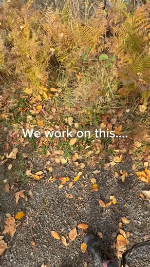 2K views · 29 reactions | Two moments, same goal: calm confidence. We practice neutrality in a quiet sit because that head space training is our protection when an off-leash dog disrupts your runs in what should be a safe area to exercise. You can’t predict the world — but you can prepare your dog to not panic and come away unscathed. #lifeskills #dogtraining | Harmony Canine | Facebook