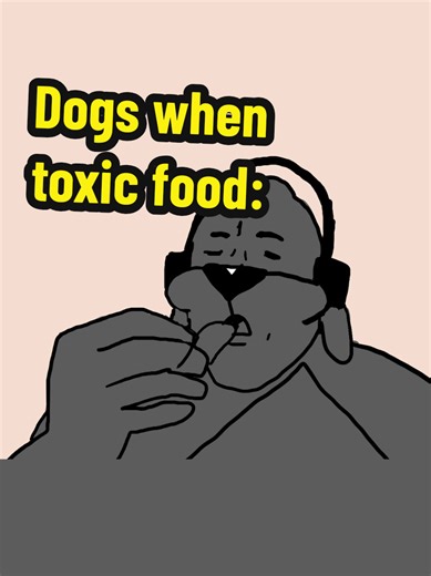 My dumb dumb dog once ate a balloon and survived #animation #dog | dogs