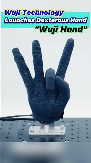 Wuji #Technology Launches Dexterous Hand ”Wuji Hand“#InnovateChina #robot #robothand #humanoid #fyp