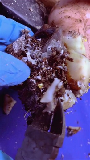 How to cut nails #nailtech #nailsonfleek #naildesigns #nailsdid #NailStyle #nailaddict #nailfashion | Dii Na Nails