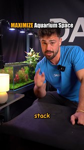 Think you need another fishtank?🤔 You might just need smarter stocking… Stack peaceful fish to avoid predation, and watch your tank thrive 🐠 What’s your tightest setup? TAG a friend who needs to stop buying more fishtanks 😏 #aquariumhobby #fishtank #fishkeeper #fishroom #fishbreeder #aquariumfish | DALUA