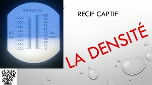La densité de l'eau de mer en aquarium par Mr récif Captif