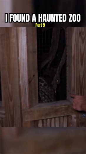 RawwFishing on Instagram: "I found a haunted pond… Part 9 of 12…"