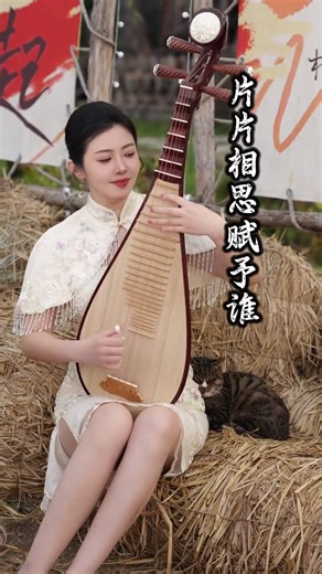 你喜欢这首歌吗？#琵琶 #中国民乐 #pipa #民族乐器 #片片相思赋予谁