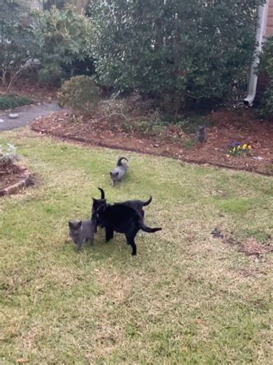 Hamilton House Antiques and Interiors on Reels