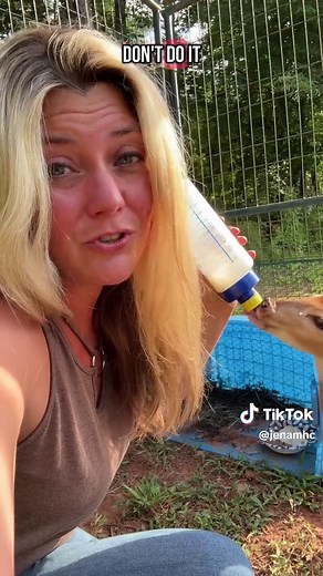 Educational purposes - what do we feed our fawns? #fawns #bottlefeeding #farmlife #ranching #animalrescue #wildliferescue #deer #babydeer #animalcare #fawncare
