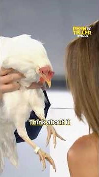 Magic Chicken #pennandteller #magic #chicken