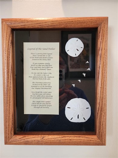 Legend of the Sand Dollar Shadowbox - Etsy