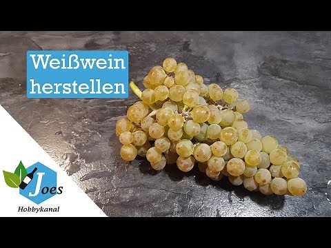 Weißwein selber machen | Wein aus eigenen Trauben herstellen