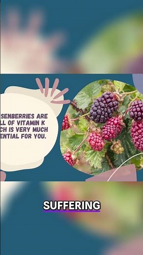 Boysenberries: Boost Health, Kidney Stones, and Diabetes! #shorts