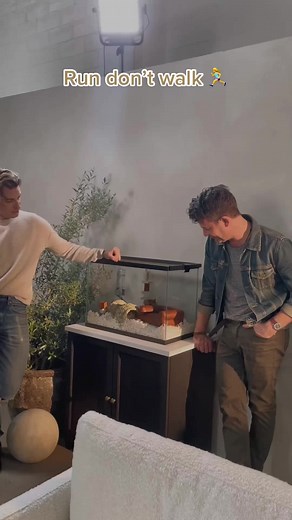 Immaculate Nate & Jeremiah Collection at PetSmart