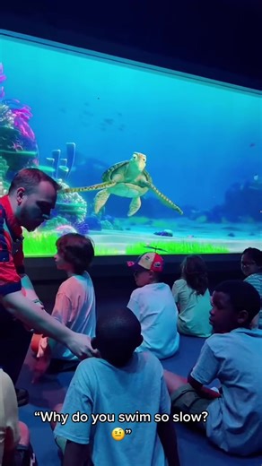 Turtle talk with Crush 👀🤣 Disneyland Moments#foryou #fyp #usaus #disneyland #disneyland #crush #turtle #findingnemo #usa