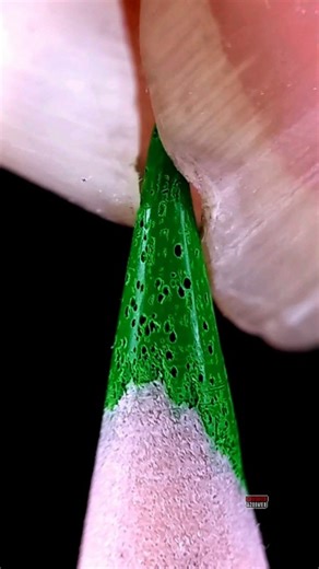 Macro lens exposes everything—even my nails. Be honest… satisfying or too real? 👀 #Macro #ASMR #OddlySatisfying #closeup #entertainment #Satisfying #reels | Adhi Prayoga Crushed & Zoomed