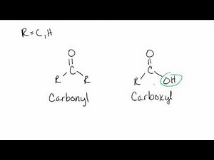 carbonyl vs carboxyl