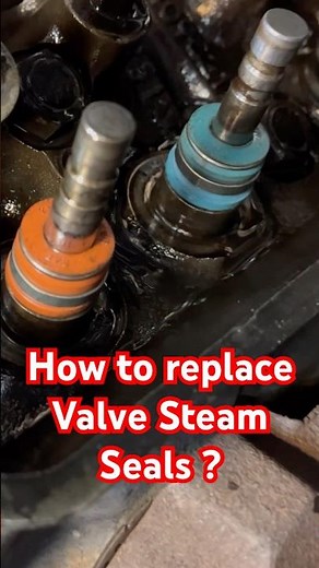 How to Replace Valve Steam Seals? #shorts #youtubeshorts #reels #video