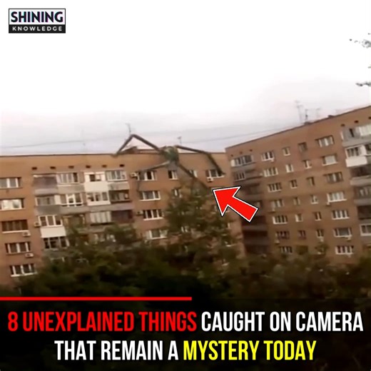 2.2M views · 50K reactions | Here Are 8 Unexplained Things Caught On Camera That Remain A Mystery Today | Shining Knowledge | Facebook