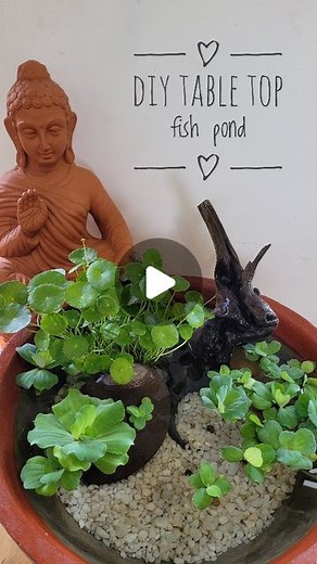 Linto Antony on Instagram: "DIY mini fish pond.. Steps: 1. I have used a small cement tank and painted outside with acrylic. 2. Added a driftwood 3. Used a pennywort plant which is planned in a container. 4. Added gravel and pebbles. This will help the pond to be cooler. 5. Added water cabbage which is a floating aquatic plant. 6. Added guppy fish which prevents mosquitoes. #diyfishpond #fishpond #tabletopfishpond #minifishpond #fish #pond #diyponds #aesthetic #waterplants"