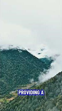 MLflow's Secret: Full Model Lineage