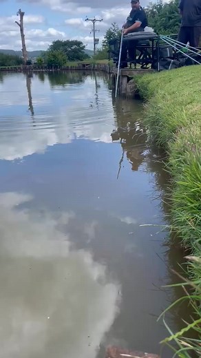Overshotting in the edge 🙈🙈🙈 !!!!! #sensas #sensasuk #sensasuk_official #blackandgreen #carpfishing #fishinglifestyle🎣🎣 #fishingaddict #AnglingCommunity #SensasBaits #matchfishing #AnglingAdventures #fishinglifestyle #FishingTechniques #competitionfishing #FishingEvents #fishingislife #competition #fishingaddiction #FishingCoaching #fishing_in_wales #fishinglife #coachinglife #coaching #quality | John Harvey angling