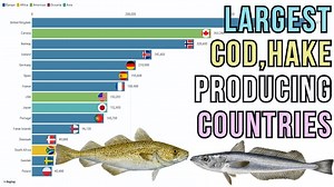 What country produces the most cod? [2025] | QAQooking.wiki