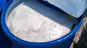 How to make JMS (Jadam Microbial Solution) to increase beneficial Microorganisms in the soil. | AllGanic Farm