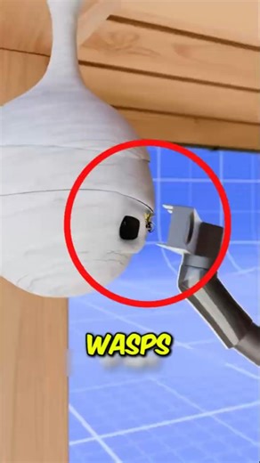 Stop Vacuuming Wasp Nests NOW… Before This Happens 😳 #wasp #shorts