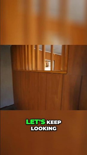 Pack Rat Infestation House Hunting Nightmare Found!