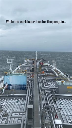 Maruthi Prakash | World famous Penguin is sailing on our ship 🐧 Sometimes, the most beautiful discoveries don’t happen on crowded paths. They happen when... | Instagram