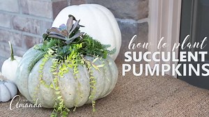 Learn how to make these gorgeous succulent pumpkins to display on your porch this fall! 🌿🌱🍁 https://craftsbyamanda.com/diy-succulent-pumpkin/ | Things I Love