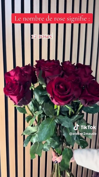 Signification des Roses : Que Chaque Nombre Représente