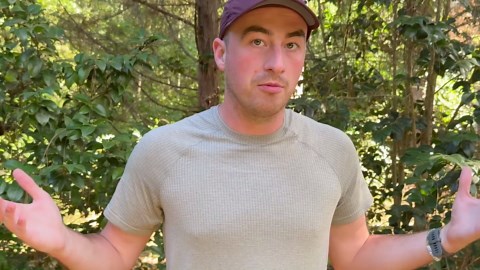 How different spider venoms affect the human body