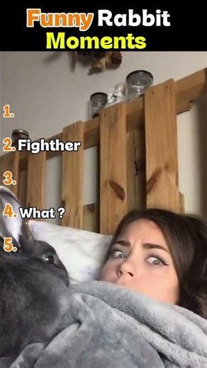 Funniest Rabbit Moments Ever 🐰😂 #funny #viralvideo