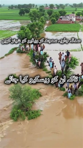 silab #silab #shortvideo