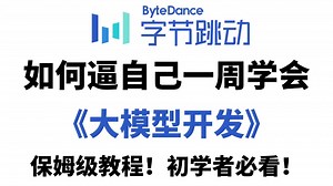 B站强推！全网最全最详细的AI大模型零基础全套教程（LLM 应用落地 RAG Agent 模型微调），从入门到实战，全程干货，学完即就业，让你少走99%的弯路！