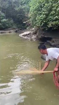 Those who can cast nets will never lack fish to eat #OutdoorsFishing #NetFishing