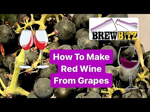 How To Make Red Wine From Grapes in Just 2 Weeks