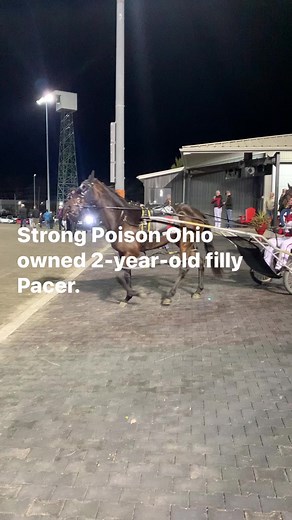 4K views · 92 reactions | Ohio Harness Horsemen's Association on Reels | Facebook