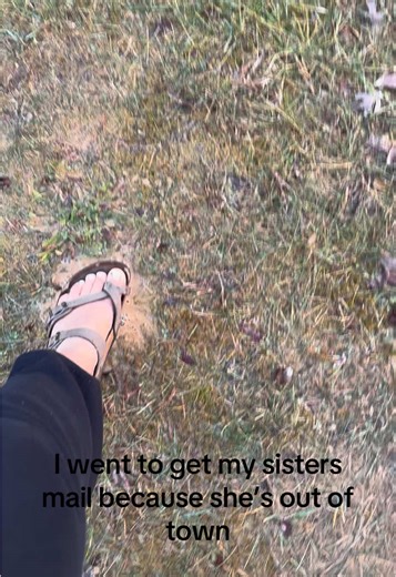 Crawl Space Water Issues: Causes and Solutions