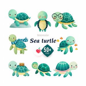 Watercolor Sea Turtle Clipart, Ocean Life Illustration (digital Download) - Etsy UK