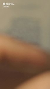 51 reactions · 11 comments |  ¿Y si la profecía no fuera aleatoria,...