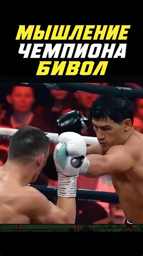 Bivol - How Champions Think in the Ring
