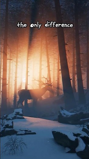 How to Create Cinematic Volumetric Lighting in Blender