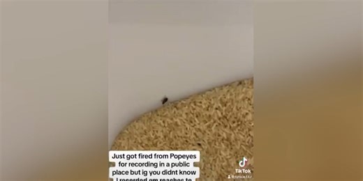 Popeyes shut down for video showing roaches crawling throughout Memphis location
