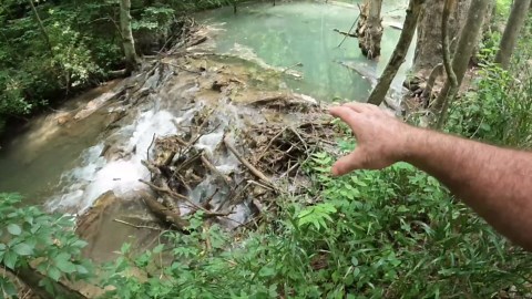Man finds beaver dam so old it turned to stone
