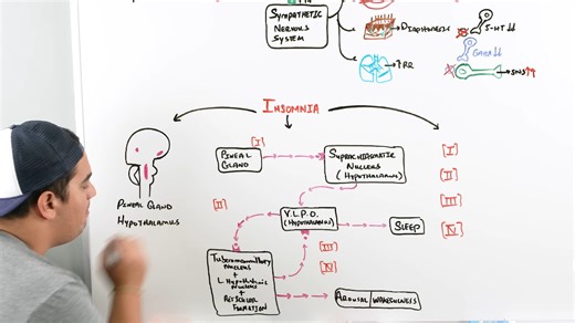 焦虑 镇静催眠药 Anxiolytic & Hypnotic