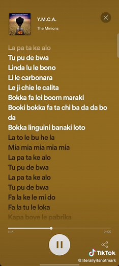 Minions Singing Y.M.C.A. with Full Lyrics