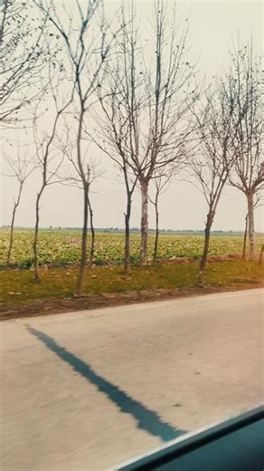 一起去吹吹风吧#冬天 #户外捕鱼 #年货备起来 #