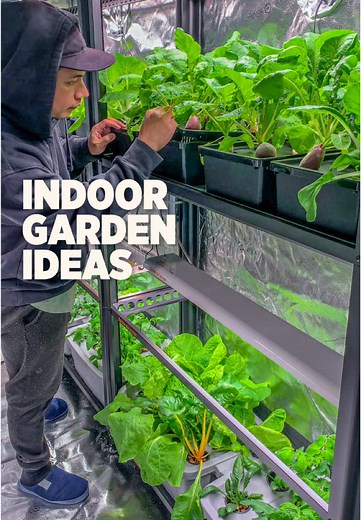 How to Grow Food Indoors: Microgreens and Hydroponics